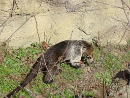 Tiergarten Schönbrunn am 23.03.2023